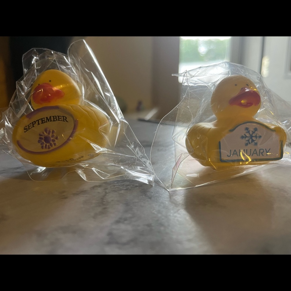 Ducks